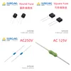 10 stücke/lot 0,1 EINE 200MA 315MA 500MA 1A 1,25 A 1,6 EINE 2A 3A 3,15 EINE 5A 6,3 EINE 8A10A 15A Platz Runde Sicherungen Axial Blei Grün blau Sicherung 250V