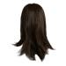 Beauty Clearance Under $15 Ladies Classic Fashion Brown Hair Wig With Curly And Long Hair Brown