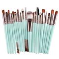 Weloille 20Pcs Makeup Brush Set - Eyeliner Brush Blending Brush Makeup Liquid Blush Brush for Cheeks Eye Makeup Brushes Concealer Brush - Foundation Makeup Brush Make Up Brush Set