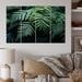 Design Art Ferns Close Up Photo III - Floral Metal Wall Decor Set Metal in Black/Green | 28 H x 48 W x 1 D in | Wayfair MT71355-271