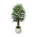 Primrue 5.5' Raphis Tree in Fiberstone Planter Fiberstone/Polysilk in Gray | 67 H x 34 W x 34 D in | Wayfair B15159F145654E1D9FD9144979D2702A