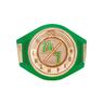 24/7 Championship Toy Title