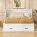 Wildon Home® Ayinde Murphy Storage Bed Wood in White | 37.2 H x 55.9 W x 81.1 D in | Wayfair 97CEEEF4385C4C57A4CD57E6C3ADFAED