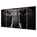 Latitude Run® Elephant Silent Majesty I - Animals Metal Wall Art Living Room Set Metal in Black/White | 28 H x 60 W x 1 D in | Wayfair