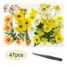 Taylongift Christmas Valentine s Day Yellow real dry embossed leaf petals colorful embossed Daisy art DIY crafts