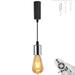 FSLiving Adjustable Height Juno Track Lighting Pendants 5Ft Cord H-Type Track Pendant Light Gold with Retro Track Light Heads E26 Smart LED Edison Bulbs Track Mount for Kitchen Island - 1 Light