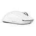 Logitech G PRO X SUPERLIGHT 2 LIGHTSPEED Wireless Gaming Mouse