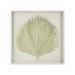 ELK Home Fan Palm Shadowbox Alternative Wall Art - H0036-11941