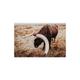 Gracie Oaks Texas Longhorn Bull Horn On by Teri James Painting in Black/Brown/Green | 16 H x 24 W x 0.25 D in | Wayfair