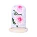 Frogued Artificial Rose LED Glass Bottle Lamp Night Light Home Decor Valentine Gift (Pink + White)