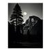 Full Moon Rising over Half Dome Black and White Extra Large XL Wall Art Poster Print