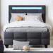 Ivy Bronx Keyshand Platform Bed w/ LED Light & 2 Drawers Upholstered/Linen in Gray | 43.7 H x 43.3 W x 80.7 D in | Wayfair