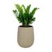 Bay Isle Home™ Afsha Pot Planter, Wicker in Brown | 21.3 H x 17.3 W x 17.3 D in | Wayfair 50E39B7ABA884F91AA3A6C365CE8968A