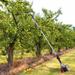 43CC 2 Stroke Gasoline Power Fruit Picker Olive Walnut Vibrating Picker Handheld