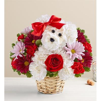 1-800-Flowers Flower Delivery Love Pup