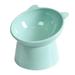 Plastic Raised Cat Bowl Tilted Elevated Cat Food and Water Bowls Set Anti Vomit Dog Kitten Food Dishes Pet Feeder for Cats and Small Dogs (Green)
