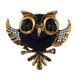 Brooch for Women's Cute Owl Brooch Men's And Women's Retro Crystal Rhinestone Brooch Jewelry Dress Scarf Accessories Party Decoration