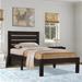 Latitude Run® Coltson Espresso Panel Bed w/ Slatted Headboard Metal in Brown | 39.5 H x 58.5 W x 78.5 D in | Wayfair