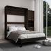 Hokku Designs Murphy Bed w/ Storage Cabinet Wood in Black | 81.5 H x 84 W x 90 D in | Wayfair B0189C1155BC48E29C806389978D8EA5