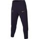 Nike Herren Hose PSG M Nk Df Strk Pant Kpz, Blackened Blue/Blackened Blue/Gold Suede, DX3448-498, M