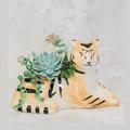 Tiger Planter | Animal Planter | Succulent Planter | Planter Pot for Air Plans Succulents & Flowers | Planter Pot | Succulent Planter Pot | Birthday Gift Idea