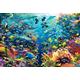 Agashi Jigsaw Puzzle, 1000/1500/2000/3000/4000/5000/6000 Piece Puzzle Underwater Paradise a Combination of Challenging Jigsaw Puzzles and Family Games/Underwater Paradise/1500Pcs
