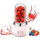 OTE Blender Smoothie Maker Portable Blender Electric Mixer with 14 OZ High Boron Glass Container To Go ​400ml Juicer Machines, Milkshake, Fruit and Vegetable Drinks -Pink