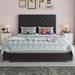 Lark Manor™ Amberlynn Bed Upholstered/Velvet/Metal in Black | 53.3 H x 79.7 W x 86.6 D in | Wayfair 3CDAE07860734054A11DFDFD3A5DB9CA