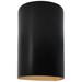 Ambiance 9 1/2"H Carbon Gold Cylinder Closed LED ADA Sconce