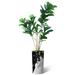 SIGNLEADER Artificial Tree in Modern Planter Fake Ficus Lyrata Plants Indoor & Outdoor Faux Fake Tree Silk/Polyester/Plastic | Wayfair