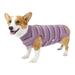 YUHAOTIN Dog Vest Warm Xxl Pet Clothes Postoperative Clothes Winter Pet Cotton Coat Thickened Warm and Soft Winter Pet Clothes for Cats and Dogs Dog Sweater Large Size Dog Girl