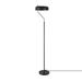 Powell 63" Floor Lamp, Matte Black, Antique Brass Accent, Stepless Rotary Dimmer Switch on Socket