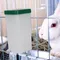 Kaninchen Wasser Dispenser Trinker Feeder Trinkbrunnen Automatische Trink Ausrüstung Haustier Trinker Kaninchen Tier Zubehör