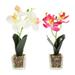 2Pcs Orchid Artificial Flowers with Pot Phalaenopsis Orchid Flowers Arrangements Table Centerpieces for Living Room Office Bedroom Bathroom Kitchen Dining Room