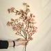 Brenberke Artificial Cherry Peach Blossom Fake Silk Flower Home Wedding Party Floral Decor