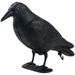 GUGULUZA Crow Decoys Full Body Plastic Crow Decoy for Hunting Black Flocked Crow Decoy w/Feet Stake for Halloween Decor Yard Garden Decoration