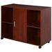 File Cabinet/ Storage cabinet-Brown GUS0408