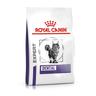 2x3kg Dental Royal Canin Expert Dry Cat Food