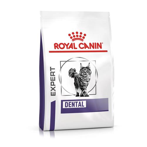 3kg Royal Canin Expert Feline Dental Katzenfutter trocken