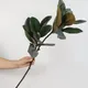 Grandes Plantes Artificielles Faux Ficus Branche d'Arbre Feuilles de Palmier en Plastique Faux