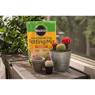 Cactus, Palm & Citrus Potting Mix (3-Pack)