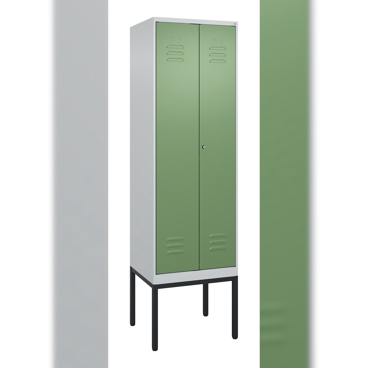 C+P Doppel-Spind Classic PLUS, Gestell, 2 Abteile, HxBxT 212x60x50cm, Zylinderschloss, Hellgrau/Resedagrün von PROREGAL Image