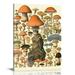 HOMICOZI Vintage Mushroom Posters & Mushroom Wall Art - Adolphe Millot Poster & Mushroom Poster Vintage Mushroom Print | Botany Poster Cottagecore Poster Vintage Plant Poster