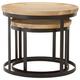 Enlow Natural Mango Wood Nest of 2 Table