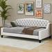 House of Hampton® Hashaam Twin Modern Luxury Tufted Button Daybed Upholstered/Velvet, Wood in Brown | 33.8 H x 45.6 W x 80.7 D in | Wayfair