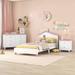 Isabelle & Max™ Aaima 3 Piece Bedroom Set Wood in Pink | 36.1 H x 41.9 W x 82.4 D in | Wayfair 5F3CE46711454C8D96AEE3C33088BCC5
