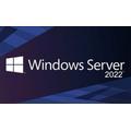Microsoft Windows Server 2022 Standard - Licence key