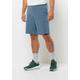 Shorts JACK WOLFSKIN "PRELIGHT SHORTS M" Gr. S (48), Normalgrößen, blau (elemental, blue) Herren Hosen Shorts