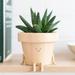 LA TALUS Succulent Flower Pot Smiling Face Design Stable Support Cute Sun And Rain Resistant Fun Garden Planter Style A