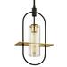 Troy Lighting F6397 Smyth 1 Light 12-1/2 Wide Outdoor Pendant - MultiColor